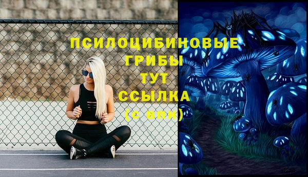 тгк Балахна