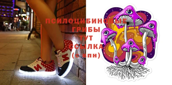 тгк Балахна
