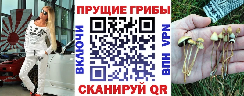 Галлюциногенные грибы ЛСД  hydra ТОР  дарк нет какой сайт  Соль-Илецк 